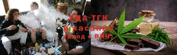 индика Осинники