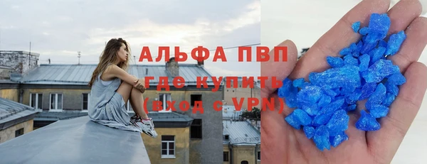 индика Осинники