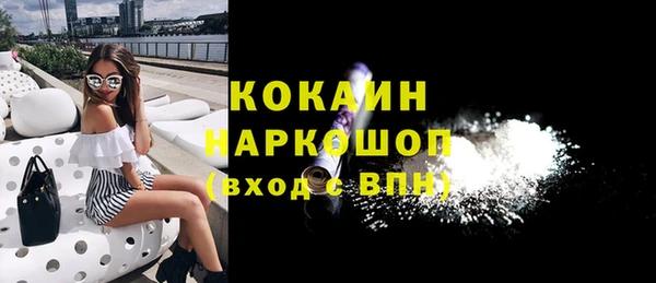 индика Осинники