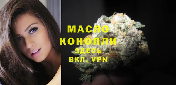 индика Осинники