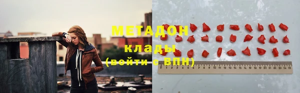 индика Осинники