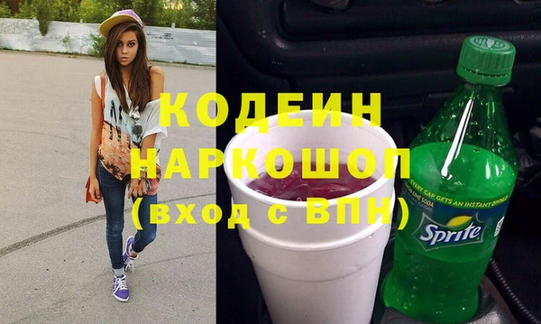индика Осинники