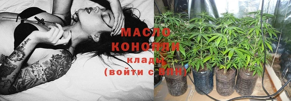 индика Осинники