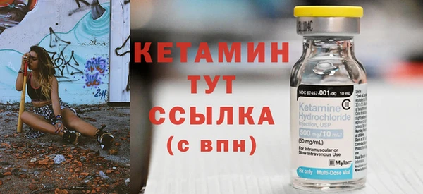 индика Осинники