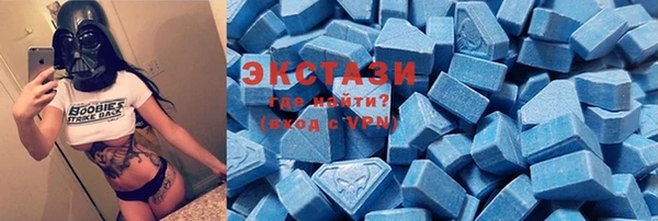 индика Осинники