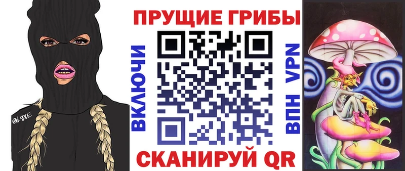 Галлюциногенные грибы Psilocybe  Агрыз 